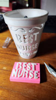 Best Nurse